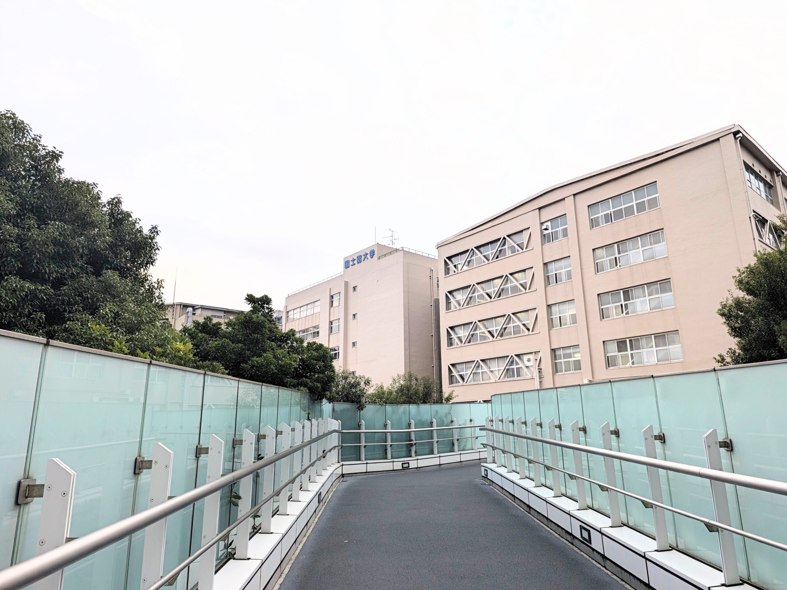 国士舘大学法学部主催の講座「最先端技術関連法研究所研究会」が開催されました